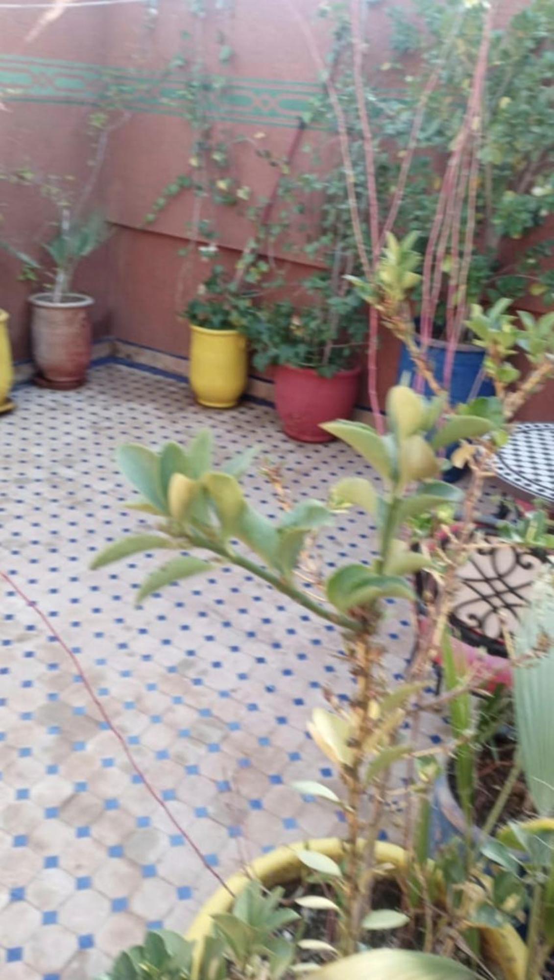 Charmant Riad Au Coeur De Marrakech Marrakesh Exterior photo
